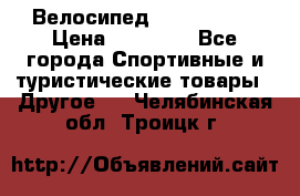 Велосипед Viva Castle › Цена ­ 14 000 - Все города Спортивные и туристические товары » Другое   . Челябинская обл.,Троицк г.